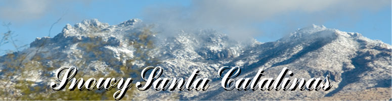Snow in the Catalinas